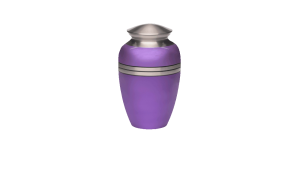 ADDvantage Casket Metallic purple urn