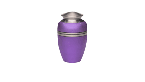 ADDvantage Casket Metallic purple urn