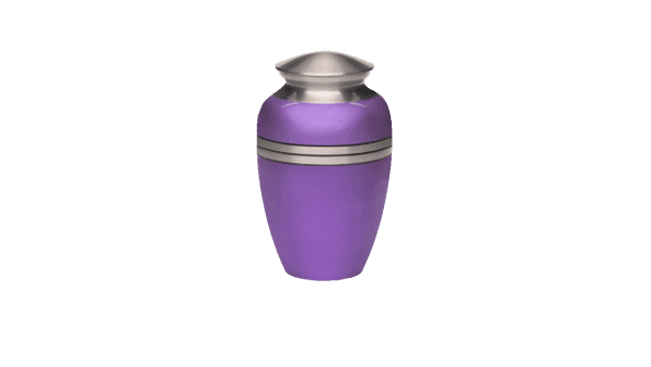 ADDvantage Casket Metallic purple urn