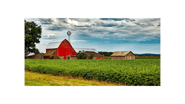 ADDvantage Casket panel insert Farm house with red barn and field.