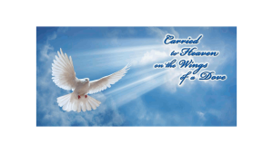 ADDvantage Casket panel insert Dove with wings stretched flying in sunlight and blue sky. Carried to heaven on the wings of a dove.