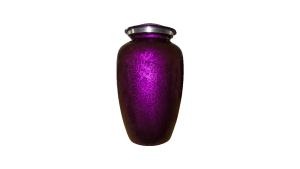 ADDvantage Casket urn Purple Texture 104