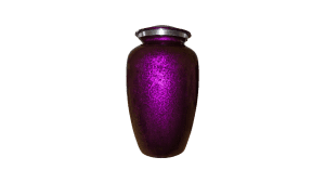 ADDvantage Casket urn Purple Texture 104